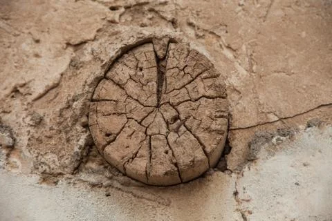 Trunk in the wall Stock Photos