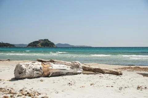 Trunk on a white sand beach Stock Photos