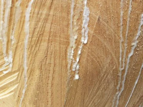 Trunk wood texture, natural pattern with light brown line background. Stock Photos