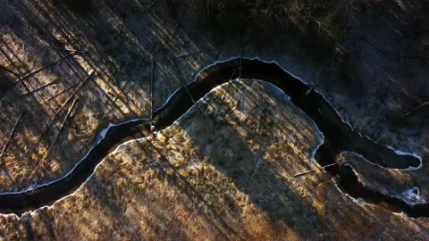 Trunks of cut trees on the ground. Aerial view. Deforestation. Narrow river Stock Footage 163184372
