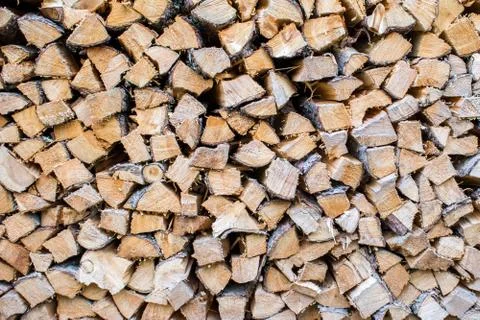 Trunks cutted Stock Photos