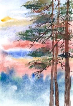 Trunks of pine trees at sunset watercolor drawing Stock Illustration