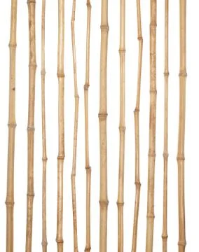The trunks of various thicknesses of dry bamboo isolated on white background. Stock Photos