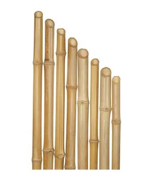 The trunks of various thicknesses of dry bamboo isolated on white background. Stock Photos