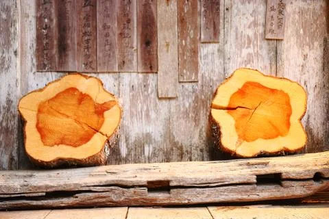 Trunks in the wall Stock Photos