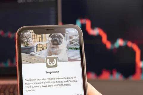 Trupanion stock price decrease on the trading market with downtrend line graph Stock Photos