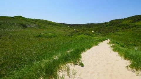 TRURO PATH Cape Cod Foto stock