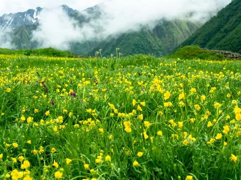 Truso canyon Stock Photos
