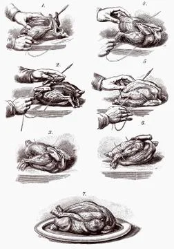 Trussing poultry (illustration) Illustrazione stock