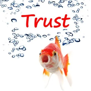 Trust Stock Photos
