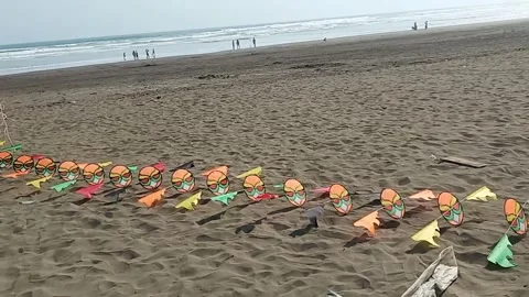 Try flying a kite on the beach Stock Footage 256741372