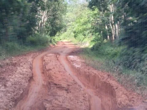 Try going to the forest Stock Photos