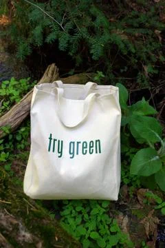 Try green  when shopping Stock Photos