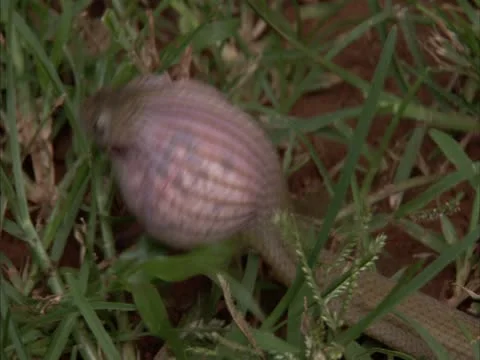 The try to let the go down Stock Footage 12764689