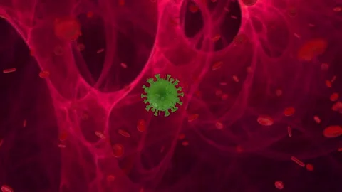 Try movement of green strain Spanish flu virus within human tissues. Macro Stock Footage 270731645