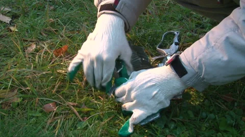 Try to rip up a can with hands on a camping on green grass background Video stock 62792306
