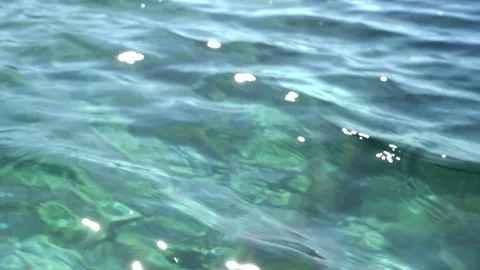 Trying to catch fish with red scoop-net in clear ocean water Stock Footage 157701593