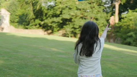 Trying to catch a frisbee Stock Footage 247508986
