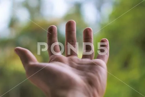 Trying to feel the nature Stock Photos