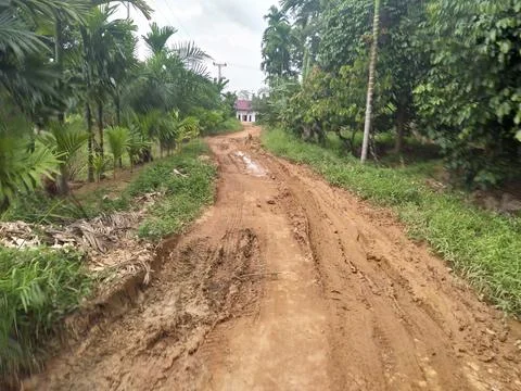 Trying in to the forest Foto stock