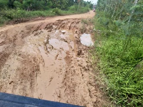 Trying in to the forest Foto stock