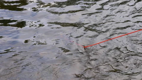 Trying to Pull a Treasure Out of the Water with a Magnetic Fishing Rod Stock Footage 162539018