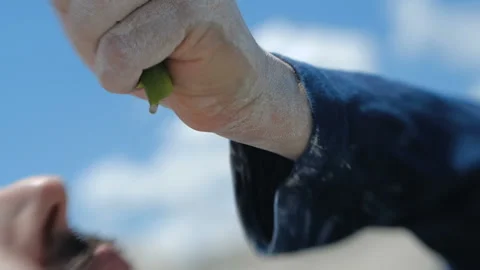 Trying to squeeze a drop of water out of a desert cactus 動画素材 145922885