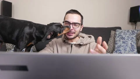 Trying to Work From Home but Being Annoyed and Distracted by his Dog Stock Footage 145498160