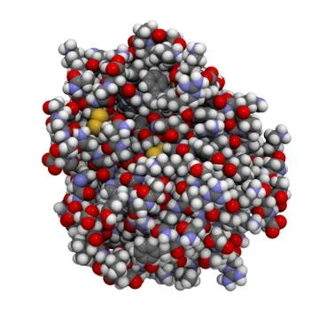 Trypsin enzyme molecule, chemical structure. Stock Illustration