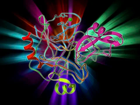 Trypsin molecule with inhibitor Stock Illustration