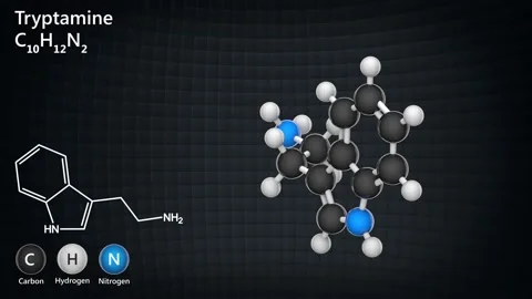 Tryptamine. C10H12N2. Seamless loop. Stock Footage 154734453