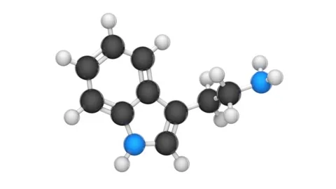 Tryptamine. C10H12N2. Seamless loop. White background Stock Footage 154734462