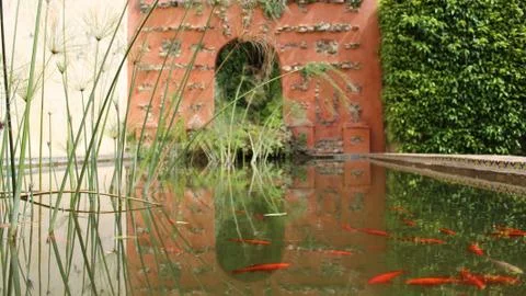 Tryptic fish pond Stock Photos