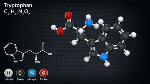 amino acid structure 3d