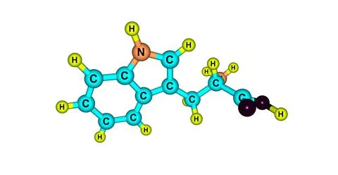 Tryptophan molecular structure isolated on white Stock Illustration