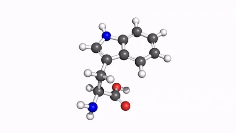 Tryptophan molecule, rotating model 스톡 동영상 79799678