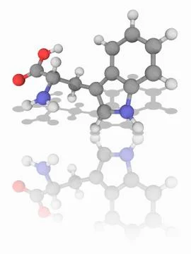 Tryptophan organic compound molecule Stock Illustration