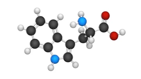 Tryptophan. Seamless loop. White background. Stock Footage 152765288
