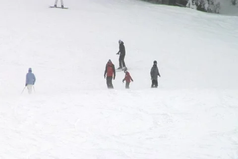TS-BeginningSkiers NTSC DV 動画素材 842489