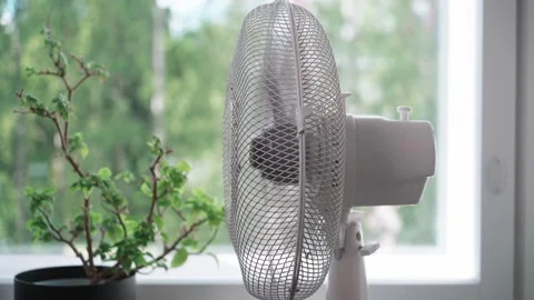 TS Elfan oscillating table fan close up Stock Footage 342989700