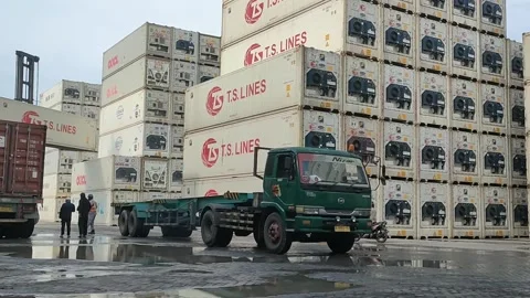 TS Lines Containers at Port: Logistics and Cargo Stock Footage 297097077