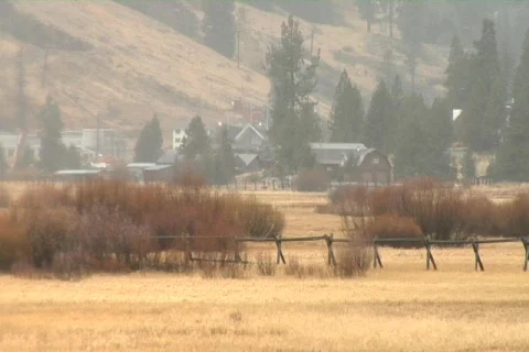 TS From Meadow NTSC DV Stock Footage 842483