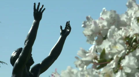 TS Uplifted Arms, Hands Statue flowers Video stock 685066