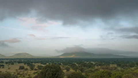 Tsavo landscape timelapse, Kenya Stockbeeldmateriaal 131734544