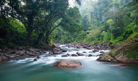 The Tscui River flows through dense jungle in Costa Rica Stock Photos
