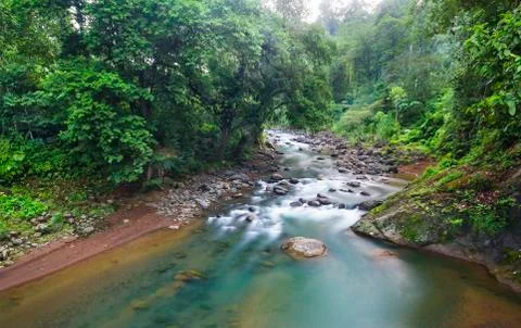 The Tscui River flows through dense jungle in Costa Rica Stock Photos