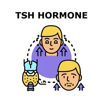 Tsh hormone regulating thyroid gland function concept Illustration