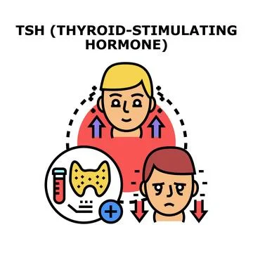 Tsh thyroid stimulating hormone level test Stock Illustration