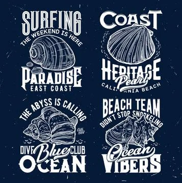 Tshirt print with ocean shells, vector emblems Stock Illustration
