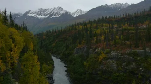 Tsina River Video stock 8991698